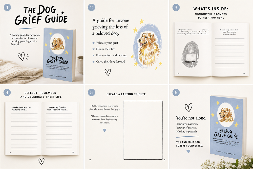 The Dog Grief Guide